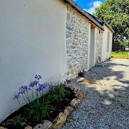 Gite De Felicite, Calme Et Nature ซาฟเนย์ ภายนอก รูปภาพ