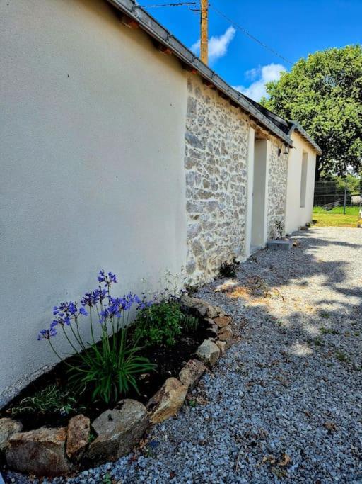 Gite De Felicite, Calme Et Nature ซาฟเนย์ ภายนอก รูปภาพ